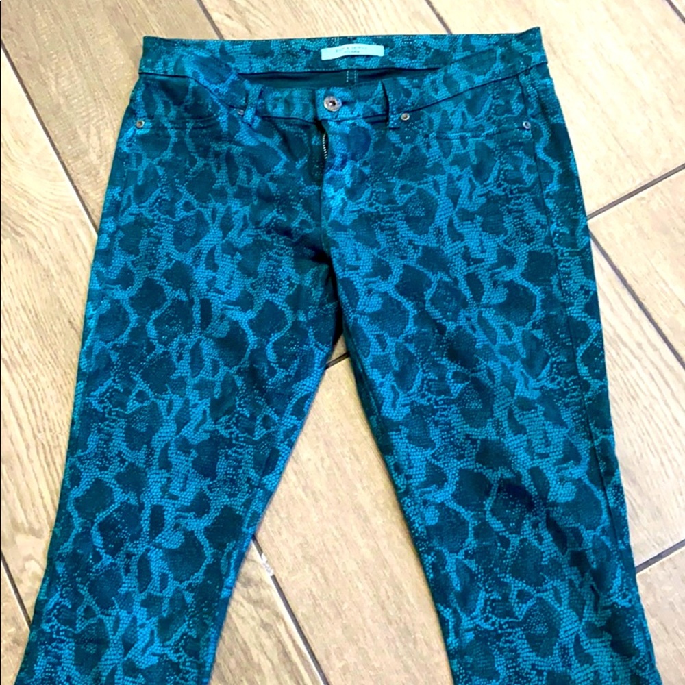Pant